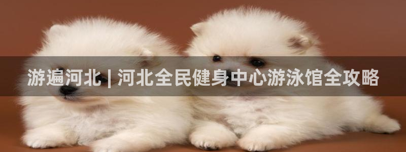 尊龙凯时怎么注册：游遍河北 | 河北全民健身中心游泳馆全