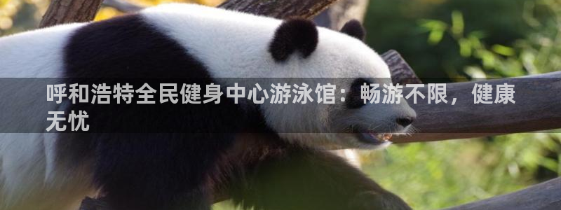 尊龙凯时链接：呼和浩特全民健身中心游泳馆：畅游不限，健康
