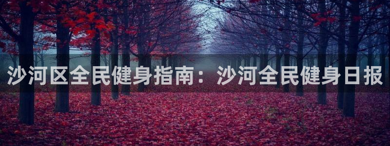 尊龙-人生就是博：沙河区全民健身指南：沙河全民健身日报