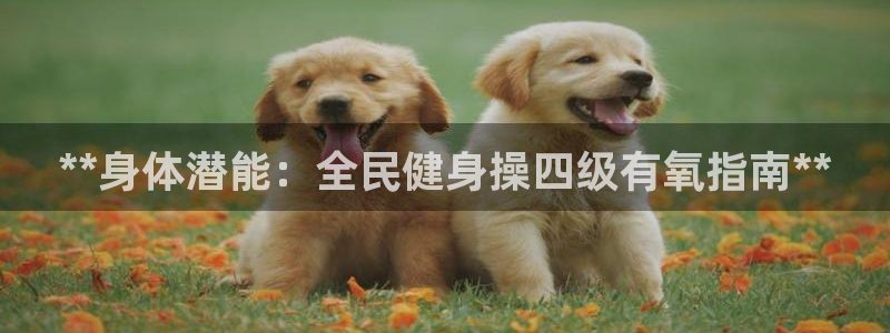 尊龙凯时产品种类：**身体潜能：全民健身操四级有氧指南**