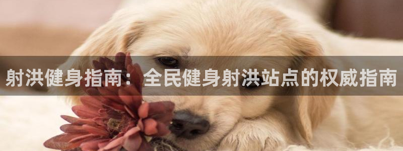 尊龙人生就是博旧：射洪健身指南：全民健身射洪站点的权威指南