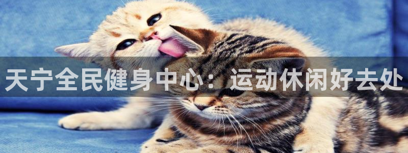 尊龙凯时几百万怎么下款：天宁全民健身中心：运动休闲好去处
