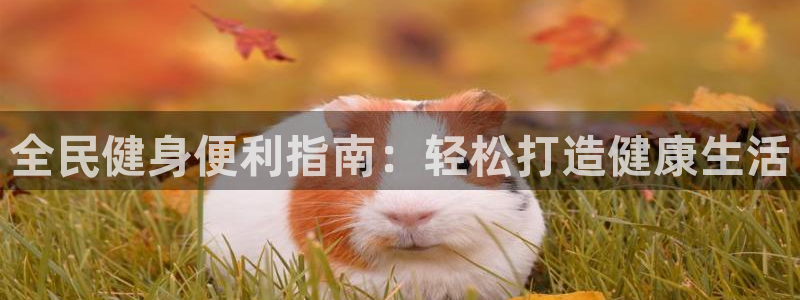 尊龙集团有限公司地址：全民健身便利指南：轻松打造健康生活