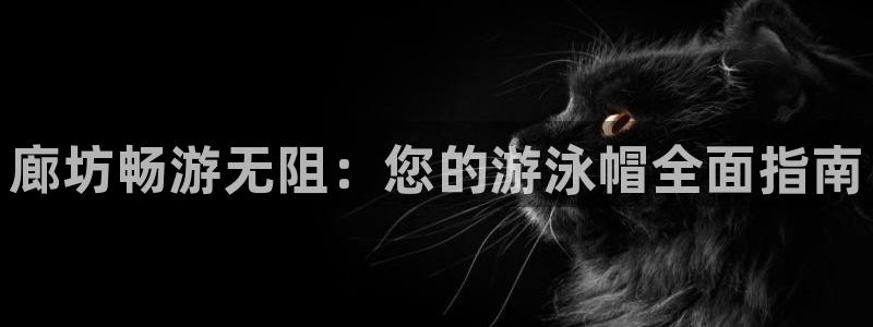凯时平台登录：廊坊畅游无阻：您的游泳帽全面指南