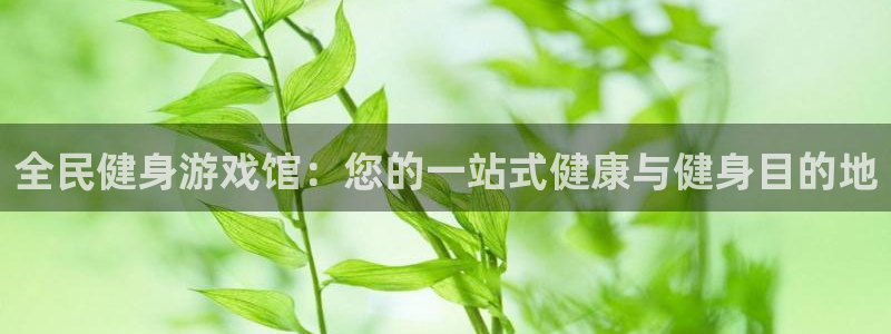 尊龙凯时企业文化：全民健身游戏馆：您的一站式健康与健身目