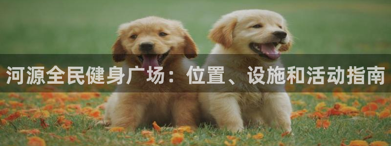 尊龙凯时 - 人生就是搏有假吗：河源全民健身广场：位置、