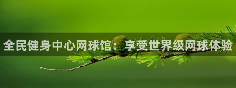z6com尊龙凯时：全民健身中心网球馆：享受世界级网球体