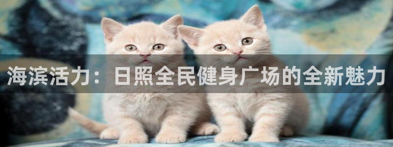 尊龙凯时官网正规吗