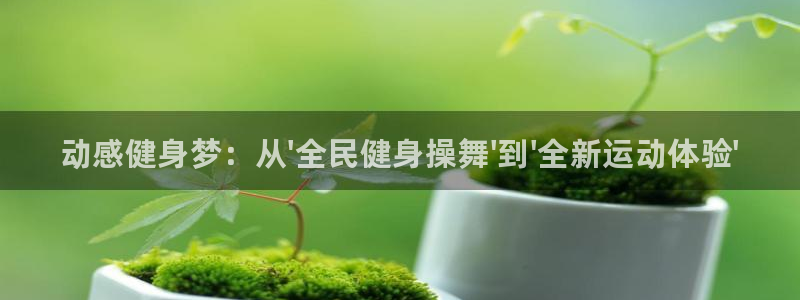 尊龙凯时提不了款