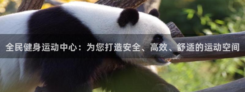 尊龙人生就是博