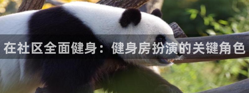 尊龙官网注册：在社区全面健身：健身房扮演的关键角色