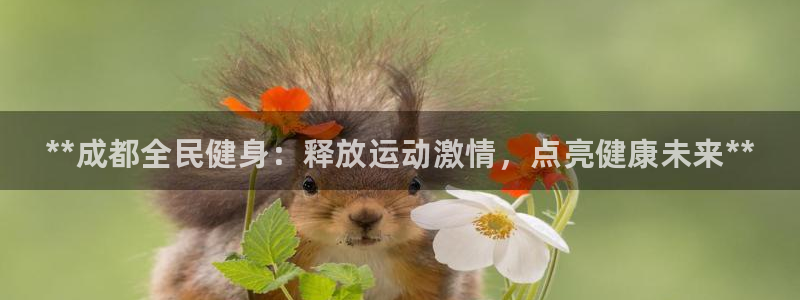 凯时尊龙官网网址：**成都全民健身：释放运动激情，点亮健