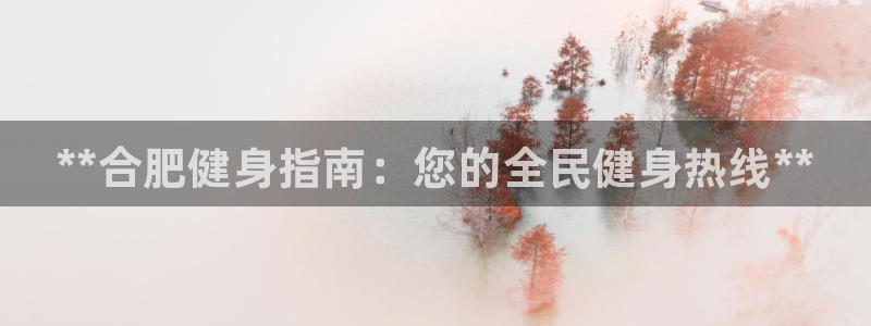 尊龙实业：**合肥健身指南：您的全民健身热线**